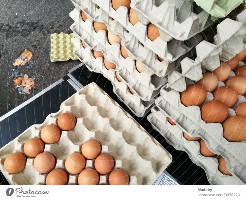 Braune Eier vom Biobauern in großen Pappkartons auf dem Wochenmarkt in Detmold im Lipperland am Teutoburger Wald in Ostwestfalen-Lippe Bauer Hühnerei Karon
