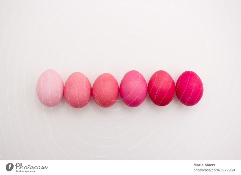 Reihe von 6 Ostereier in verschiedenen Rosa-Tönen von pastell bis pink auf hellem Hintergrund schön Feier Nahaufnahme Sammlung Farbe Textfreiraum