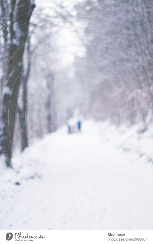 Spaziergang im Schnee unscharf fotografiert...wie Geister Januar Farbfoto Schwache Tiefenschärfe Schneebedeckt frieren Außenaufnahme Winter Baum weiß Natur