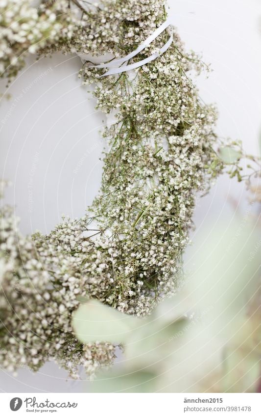 Ein halber Kranz aus weißem Schleierkraut und vorne recht sieht man verschwommen Eukalyptus Trockenblume kranz hochzeit Blume Blüte Farbfoto