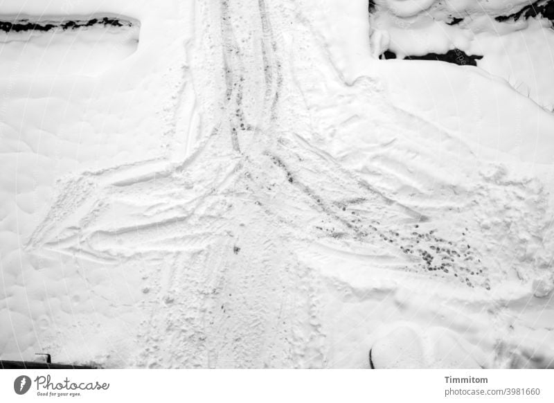 Hin und her im Schnee - auf die Fallgruben achten! Schwarzwald Spuren Fußstapfen Fahrzeugspuren Winter kalt weiß Wege & Pfade Fußspur Schwarzweißfoto