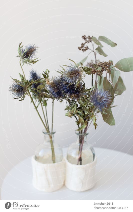 Zwei kleine Glasvasen stehen auf einem kleinen weißen Beistelltisch und sind gefüllt mit getrockneten Zweigen/Blumen Vasen Trockenblumen Distel Eukalyptus