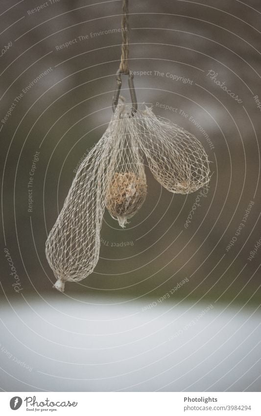 Meisenknödel und leere Futternetze an einem Karabiner Vogelfutter Netz Netze voll Außenaufnahme Farbfoto Tag Menschenleer Natur Tier füttern