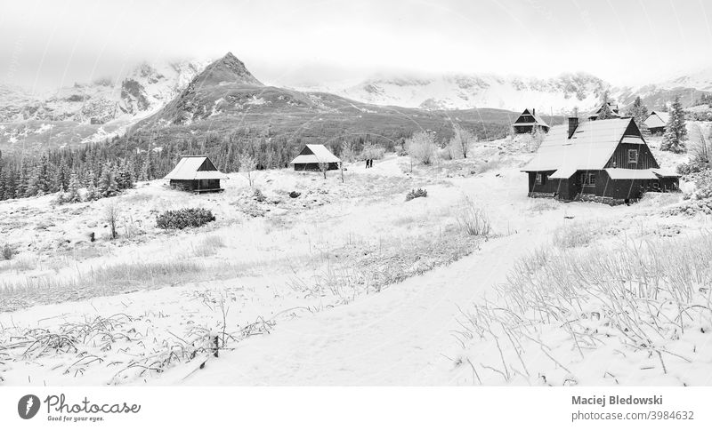 Gasienicowa-Tal im verschneiten Winter, Tatra-Gebirge, Polen. Panorama Schneefall Berge u. Gebirge Landschaft Hütte weiß schwarz schön malerisch