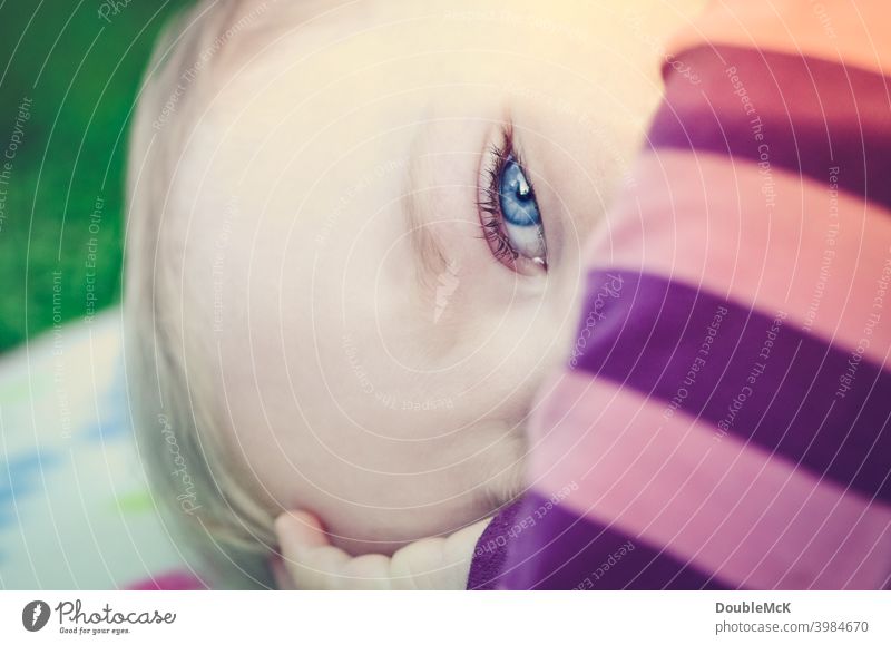 Ein Kleinkind liegend auf einer Picknickdecke in der Nahaufnahme Mädchen Gesicht Kindheit Mensch 1 1-3 Jahre Farbfoto Außenaufnahme Tag Schwache Tiefenschärfe