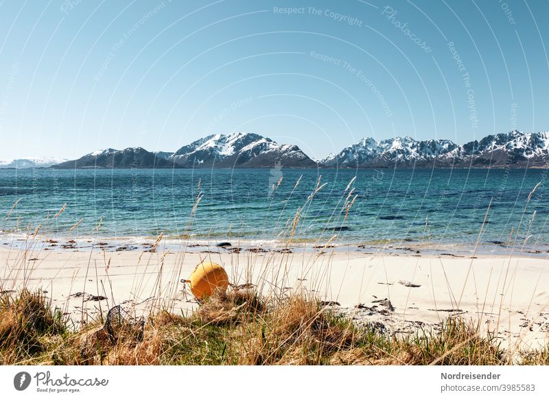 Einsamer Strand auf den Vesterålen in Norwegen strand meer atlantik norwegen vesterålen vesteralen andøya insel felsen boje fjord gebirge bergkette gipfel