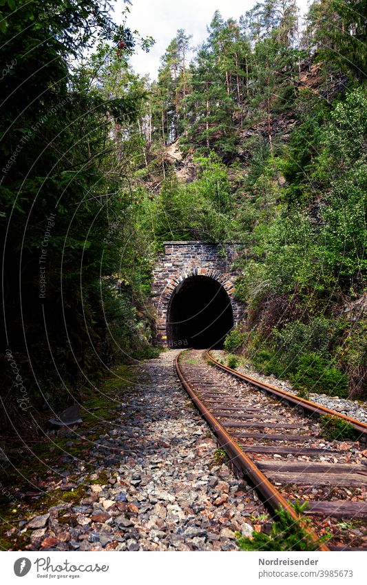 Tunnelportal auf einer stillgelegten Bahnstrecke im Thüringer Wald Schienen Gleis Eisenbahn Stilllegung Eisenbahntunnel Verkehr Infrastruktur Transport
