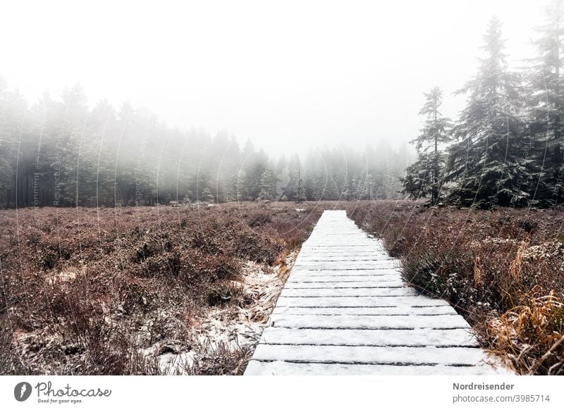 Schützenbergmoor im Thüringer Wald mit erstem Schnee und Nebel schützenbergmoor sumpf nebel pfad steg wanderweg wald schnee winter reservat naturreservat