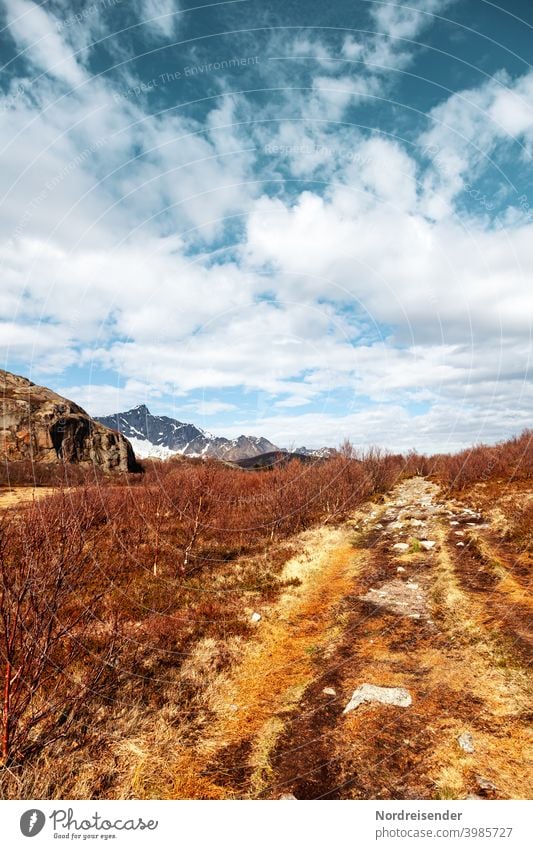 Wanderweg im Gebirge der Lofoten in Norwegen Frühling Berge Felsen Gras Strauch wandern Dynamik lebendig Panorama Weg Aussicht Naturschönheit Hintergrund rein