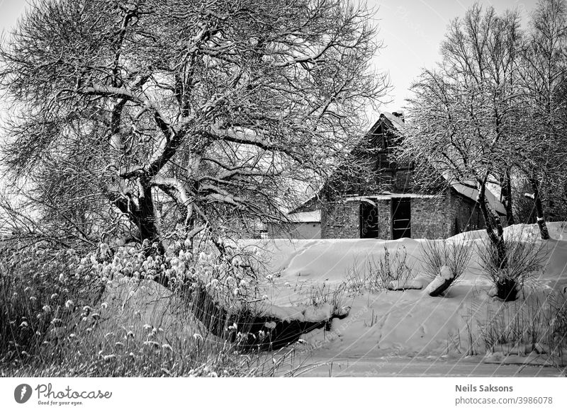 Krummer Weidenbaum über dem Eis / verlassenes Haus Schuss vom Fluss / schwerer Schnee Architektur Europa Hintergrund schön Gebäude Land Wald Himmel (Jenseits)