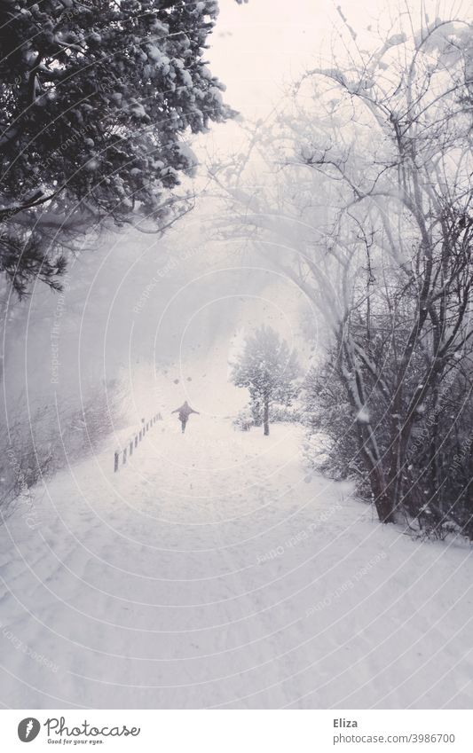 Schneetreiben - Eine Person in einer verschneiten Winterlandschaft Weg Natur Wald WInter Schneefall kalt Landschaft weiß Schneelandschaft Umwelt Bäume