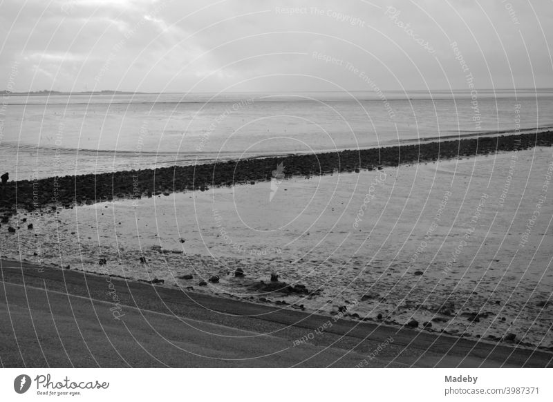 Das Weltkulturerbe Wattenmeer an der Küste der Nordsee in Norden bei Norddeich in Ostfriesland in Niedersachsen, fotografiert in klassischem Schwarzweiß Meer