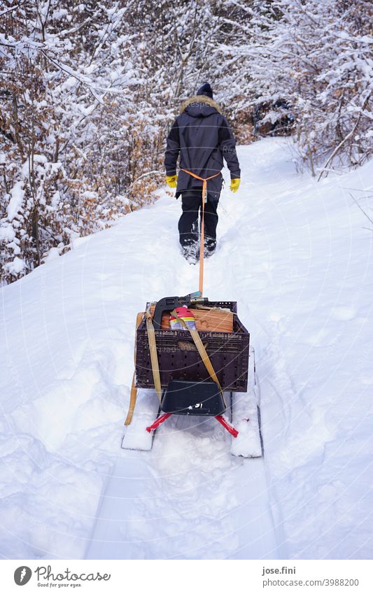 Mann läuft durch den Schnee und zieht mit einem Seil einen vollgepackten Schlitten hinter sich her. Laufen wandern Winter kalt Wald ziehen Holz Freude Natur