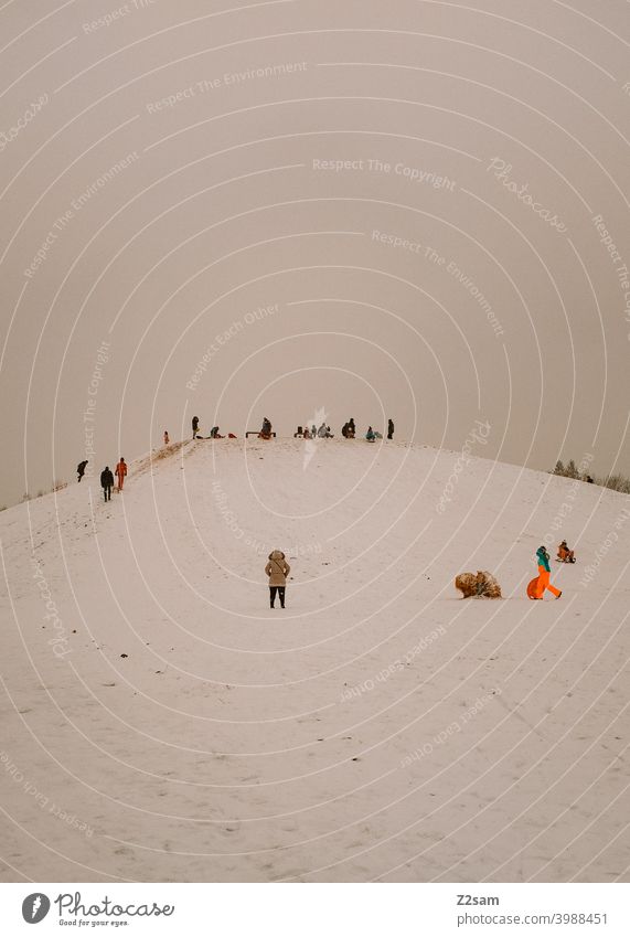 Rodler auf einem schneebedeckten Hügel winter landschaft kälte menschen gruppe rodeln schlittenfahren sonne warme farben Natur Landschaft Schlitten Farbfoto