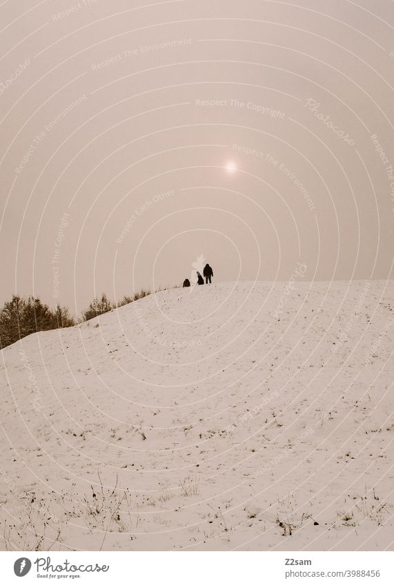 Rodler auf einem schneebedeckten Hügel winter landschaft kälte menschen gruppe rodeln schlittenfahren sonne warme farben Natur Landschaft Schlitten Farbfoto