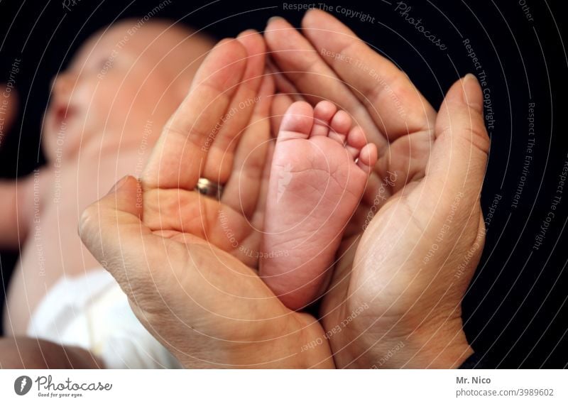 Hand und Fuß haben Hände Baby Zehen Familie & Verwandtschaft Familienglück festhalten Schutz Größenunterschied Geborgenheit Liebe Glück Vertrauen Gefühle Haut