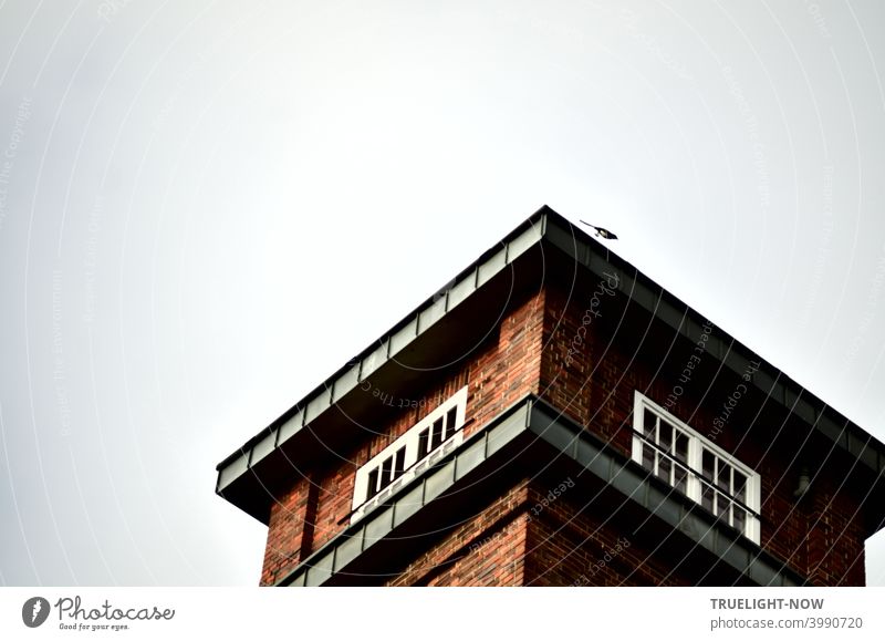 Eine Elster startet ihren Flug von der Spitze des Turms einer schönen Backstein Architektur Gewerbe Immobilie in Babelsberg Zielstein Denkmal Turmspitze Dach
