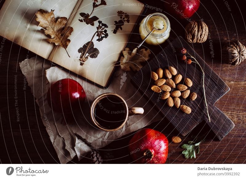 Buch mit Herbarium Nüsse und Früchte auf dem Tisch Lebensmittel altehrwürdig Hintergrund Muttern trocknen Saison Zusammensetzung gemütlich Decke fallen Feiertag