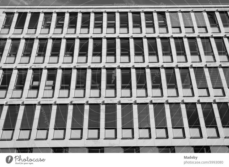Bürogebäude mit schmalen Fenstern und Jalousien als Sonnenschutz im Sommer bei Sonnenschein im Westend von Frankfurt am Main in Hessen, fotografiert in klassischem Schwarzweiß