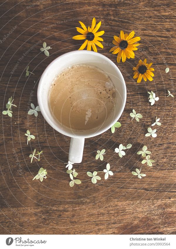 Es gibt Cappuccino zum Frühstück...  Der Holztisch ist liebevoll mit weißen und gelben Streublümchen dekoriert Kaffee Café Tasse Getränk heiß Morgen Koffein