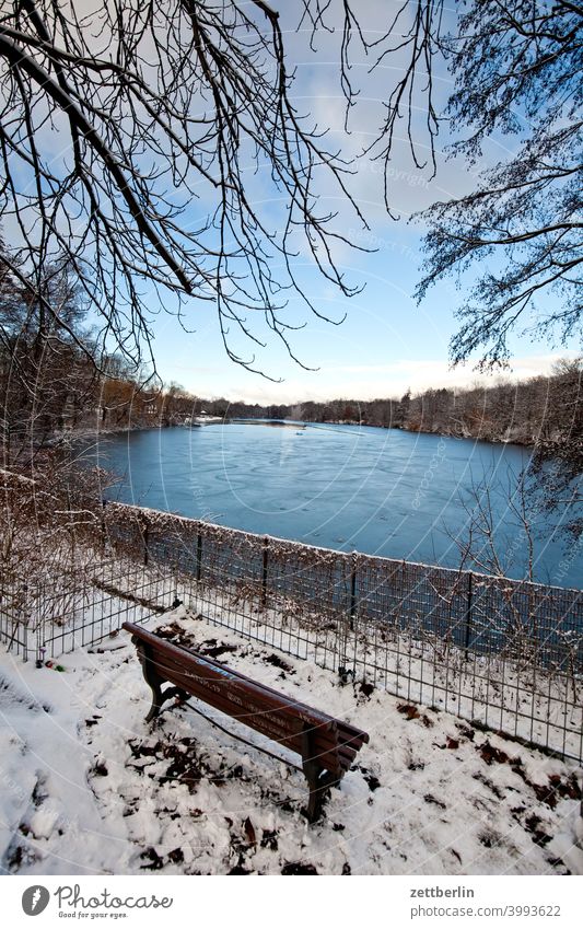 Bank am Plötzensee im Winter ast baum erholung ferien himmel menschenleer natur pflanze ruhe schnee schneedecke strauch textfreiraum tiefenschärfe winter zweig