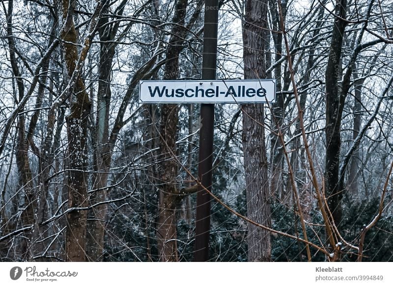 Hier darf "gewuschelt" werden! Wegeschild am Waldesrand mit der Aufschrift "Wuschel-Allee" Wegweiser Wege & Pfade Schilder & Markierungen Richtung Hinweisschild