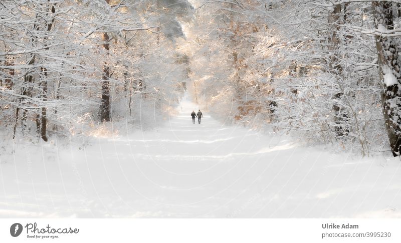 Winter im Märchenwald bei Worpswede - Pärchen geht Hand in Hand durch einen mit Schnee bedeckten Wald Paar Spaziergang Romantik Liebe Freiheit Partnerschaft