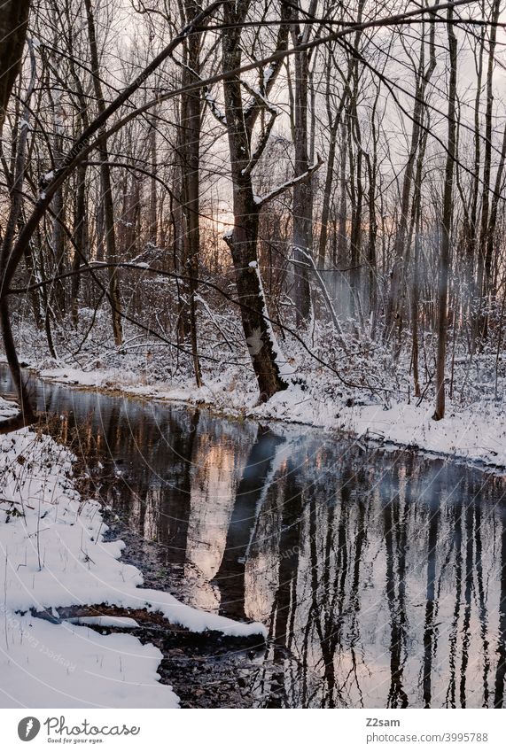 Winterlandschaft winterspaziergang winterlandschaft natur bach fluß wasser spiegelung sonnenuntergang bäume Reflexion & Spiegelung kälte frost einsam ruhe
