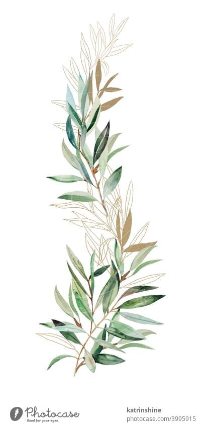 Aquarell grün und golden Olive Zweige Illustration Wasserfarbe Oliven Ast Blätter Borte Zeichnung Grafik u. Illustration Papier botanisch Blatt rund