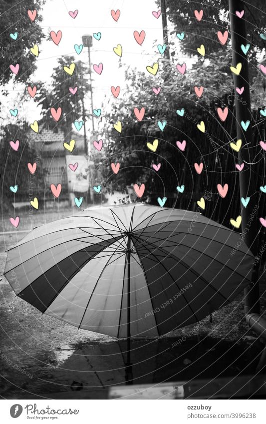 schwarz und weiß Regenschirm bei Regenzeit mit Farbe voller Liebe Wetter Saison nass regnerisch Tag im Freien Wasser Tropfen Hintergrund Natur Schutz