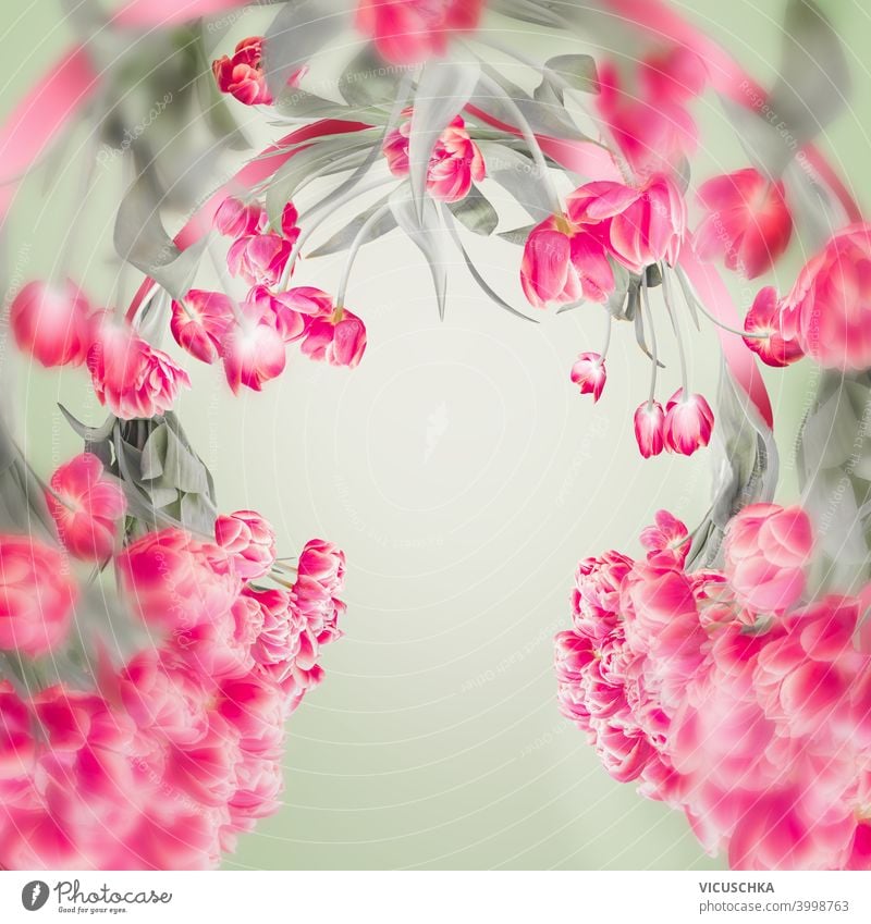 Schöner Tulpenrahmen mit Kopierraum für Ihr Design. Rosa Tulpen Blumen auf hellgrün. Frühlingshafter Hintergrund schön Rahmen Textfreiraum rosa Licht romantisch
