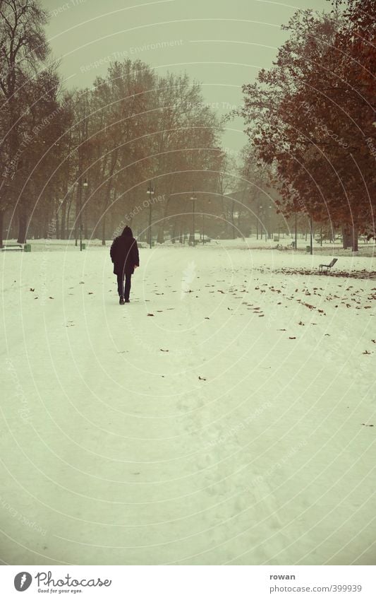 einsam Mensch maskulin Mann Erwachsene 1 Landschaft Winter Schnee Schneefall Baum Garten Park Denken gehen kalt Gefühle Stimmung Traurigkeit Liebeskummer