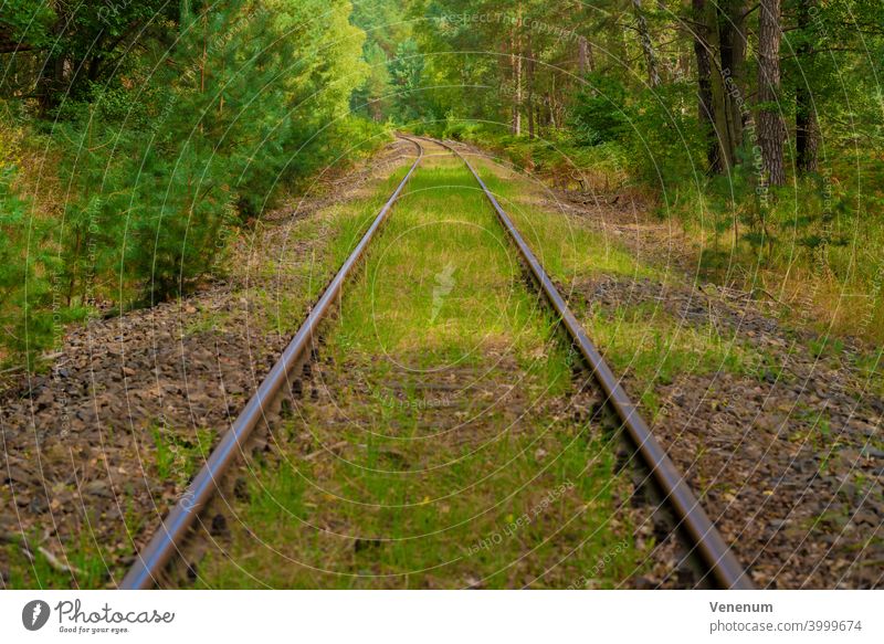 Alte Eisenbahnschienen, die in Deutschland nicht mehr benutzt werden,Bäume neben den Eisenbahnschienen,Wildgras im Gleisbett Bahn Schienen bügeln Rust