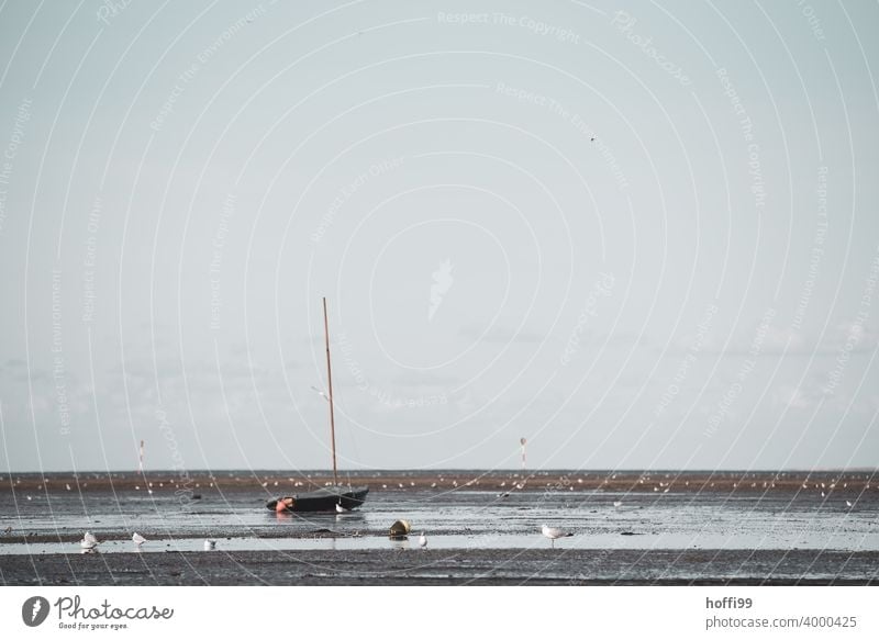 Das Segelboot liegt im Watt bei Ebbe auf Grund - die Flut wird kommen Möwe Wattenmeer auf Grund gelaufen Wasserfahrzeug Strand Sand Küste Nordsee Segeln Meer
