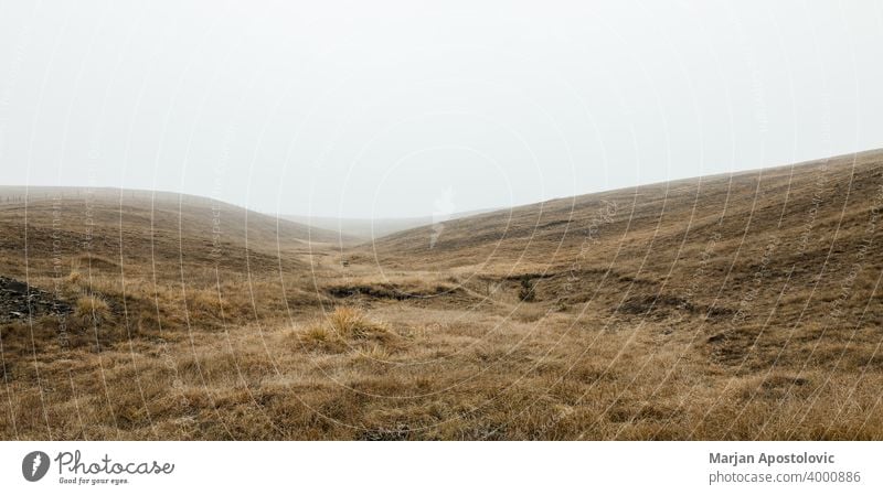 Blick auf die neblige Wiese am Wintermorgen Herbst Hintergrund schön wolkig kalt Landschaft Morgendämmerung früh Umwelt Europa fallen Ackerland Feld Nebel Gras