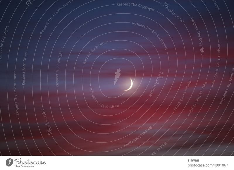 Ölbild Sichelmond im Abendrot Mond Nachfoto Sonnenuntergang dunstig blau blaue Stunde Dämmerung Himmel
