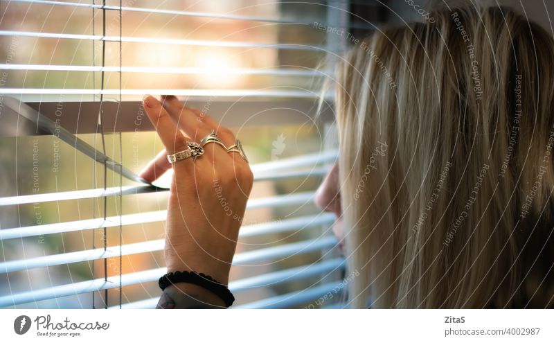 Blonde Frau späht durch die Jalousien blond guckend Blick Aussehen Fenster blind neugierig Innenbereich Person Hand Leben Tag Fensterläden Denken spionieren