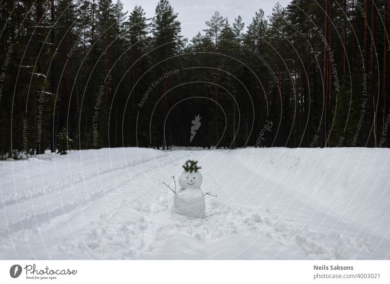 Schneemann Gruß auf einem Waldweg Weihnachten kalt Land Frost gefroren Eis Landschaft Natur niemand im Freien Park Straße Saison Lächeln verschneite Bäume weiß