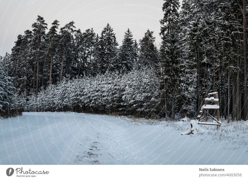 Winterwald im Schnee / Jägerturm nahe der Straße im Wald Baum kalt Landschaft Natur Berge u. Gebirge Bäume Himmel weiß Frost Ski Saison Kiefer verschneite blau