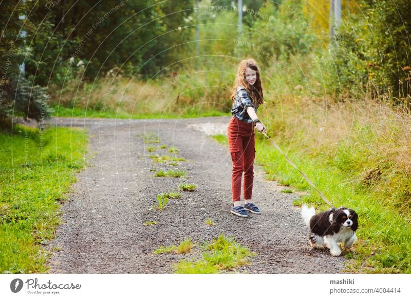 glückliches Kind Mädchen zu Fuß mit ihrem Cavalier King Charles Spaniel Hund auf Sommer Landstraße. Training ihr Welpe und Spaß haben. Tier Haustier Natur