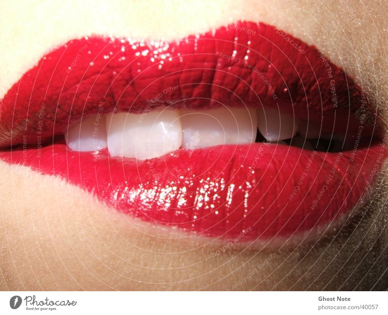 KISS ME, BITE ME! Lippen feminin Frau Küssen rot Lippenstift Mund Zähne