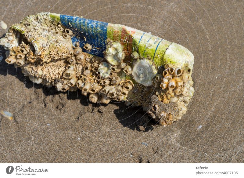 Alte schmutzige Plastikflasche bewachsen mit Muscheln auf einem Sandstrand nach Sturm. Technogenic Verschmutzung der Welt Ozean. Flasche Panzer Kunststoff