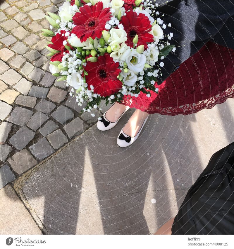 rote und weiße Blumen am Hochzeitstag rote Blume Blüte Feste & Feiern Vogelperspektive Dekoration & Verzierung Blumenstrauß Hochzeit da Pflanze Valentinstag