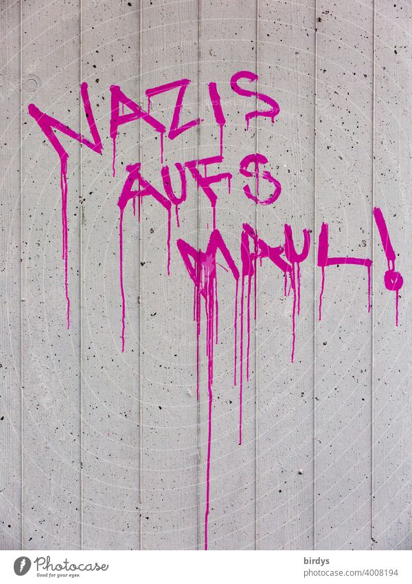 aggressive antifaschistische Ansage gegen Nazis. Nazis auf `s Maul ! Drohung . pinkfarbene Schrift auf Betonwand Gewaltandrohung Schriftzeichen Wut gegen rechts