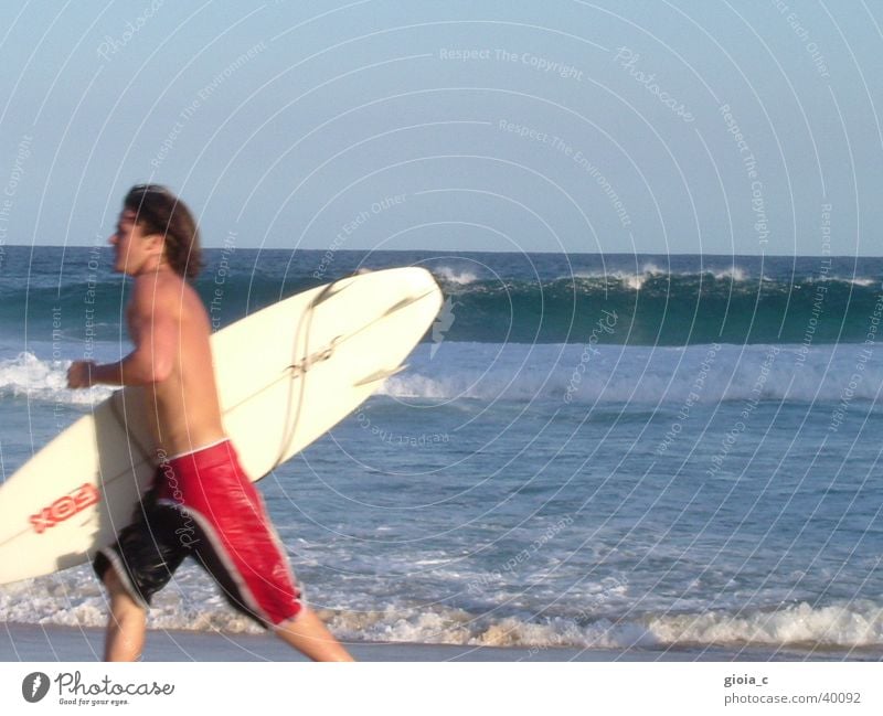 der surfer Meer Strand Sommer Surfbrett Surfer Badehose Ferien & Urlaub & Reisen Australien Oberkörper braun Joggen Freizeit & Hobby Mann Sport Spielen Wasser
