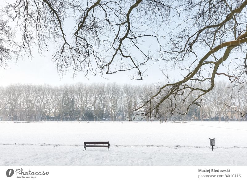 Jan Kasprowicz Park im Winter, Szczecin, Polen. Bank weiß Schnee kalt niemand leer Einsamkeit Baum