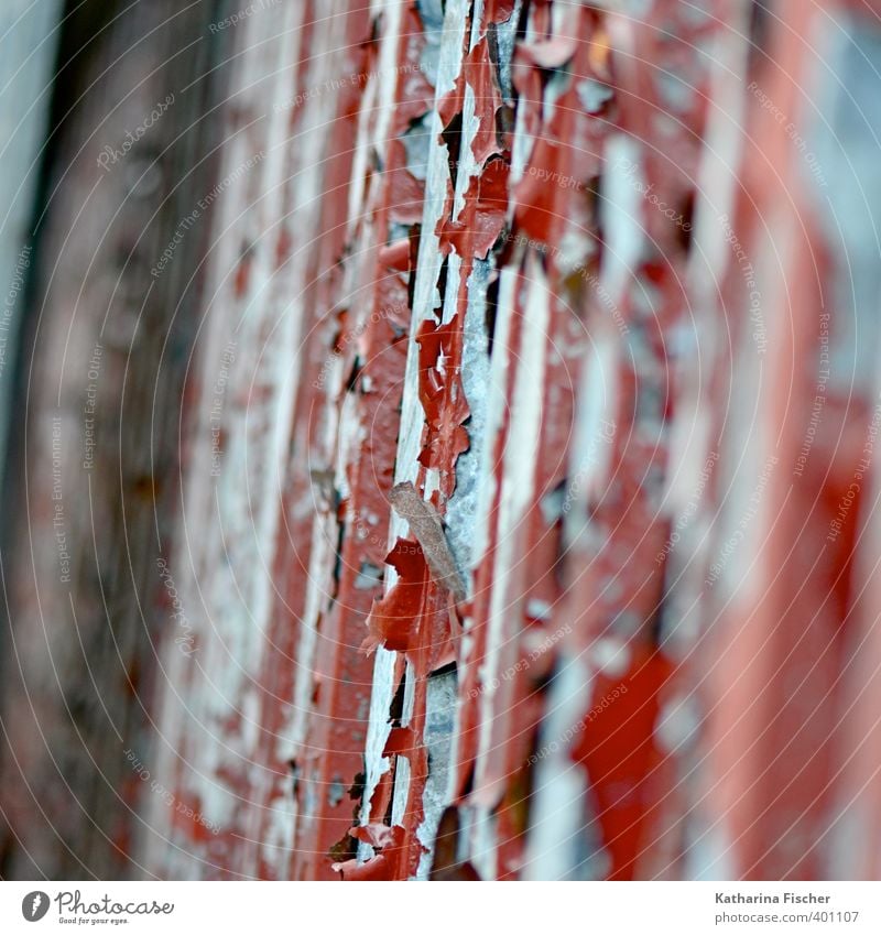 "Blätterwerk" Mauer Wand Fassade Tür Metall Stahl Rost blau braun grau rot schwarz silber abblättern alt verfallen Verfall Fassadenverkleidung Lack lackiert