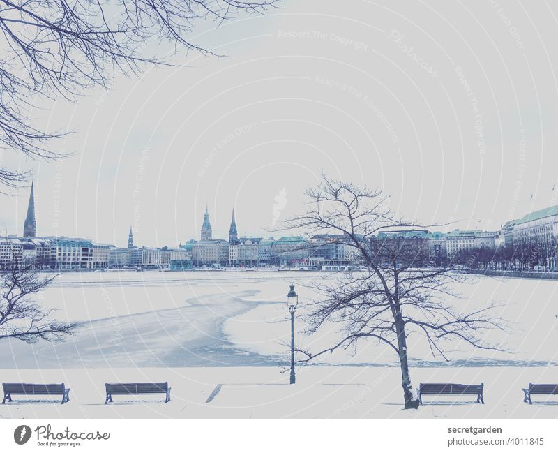Schneeblind und frierend in Hamburg. Wasser Himmel Schneelandschaft Monochrom Straßenlaterne Horizont Parkbank flanieren Alster Alsterufer Außenaufnahme Skyline