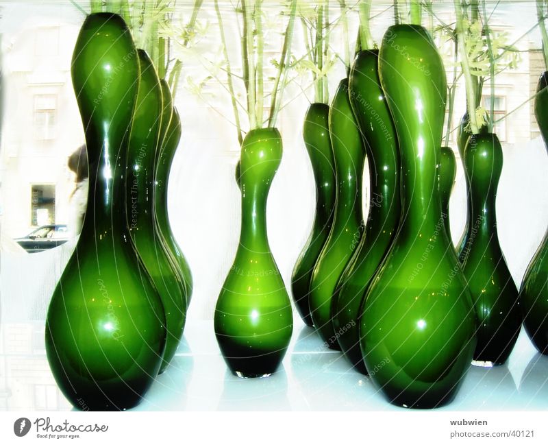 zweigstelle Blume Vase grün Blumenladen Wien Häusliches Leben Glas