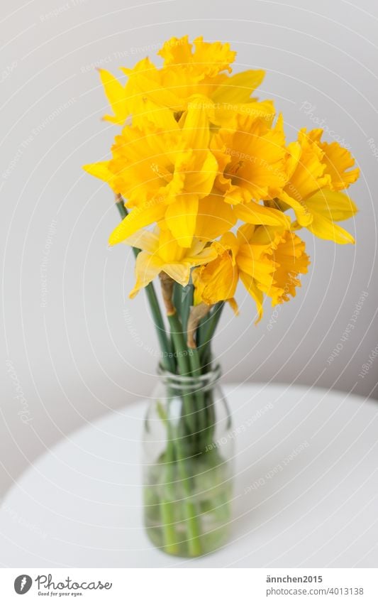 Mittig steht ein Strauß Narzissen in einer Vase auf einem Tisch Ostern Frühling Feste Jahreszeiten Blume gelb Farbfoto Feste & Feiern Dekoration & Verzierung